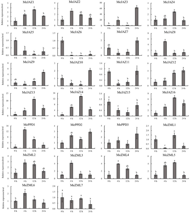 Figure 10