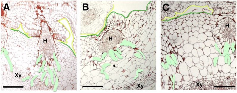 Figure 7.