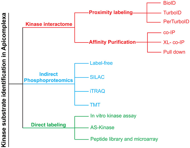 Figure 1 –