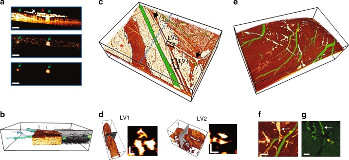 Fig. 4