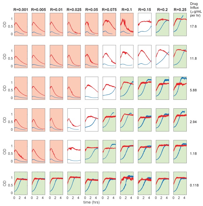 Figure 3—figure supplement 3.