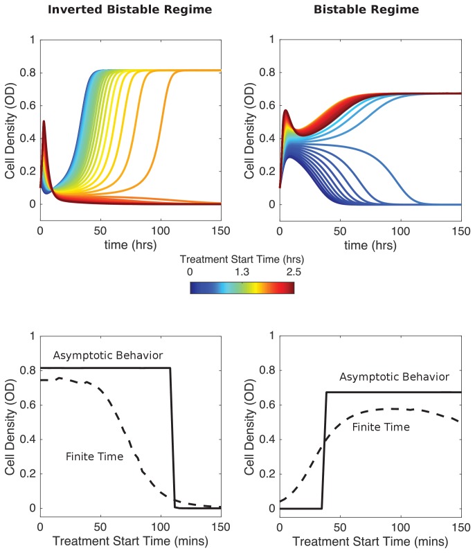 Figure 5—figure supplement 1.