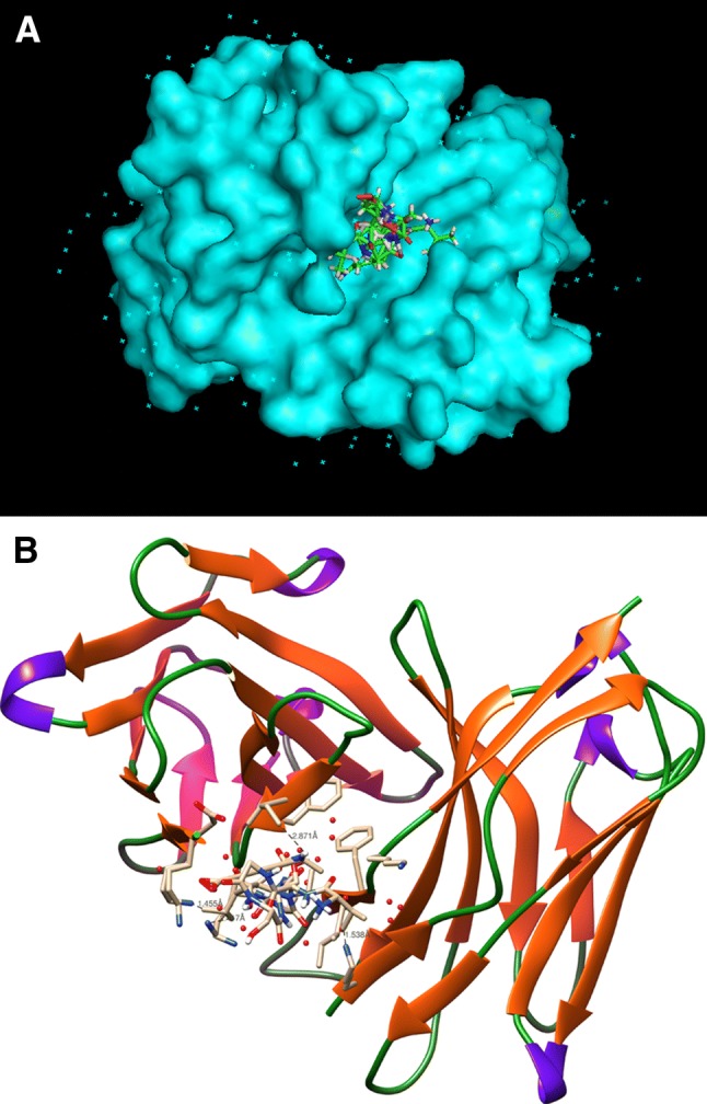 Fig. 7