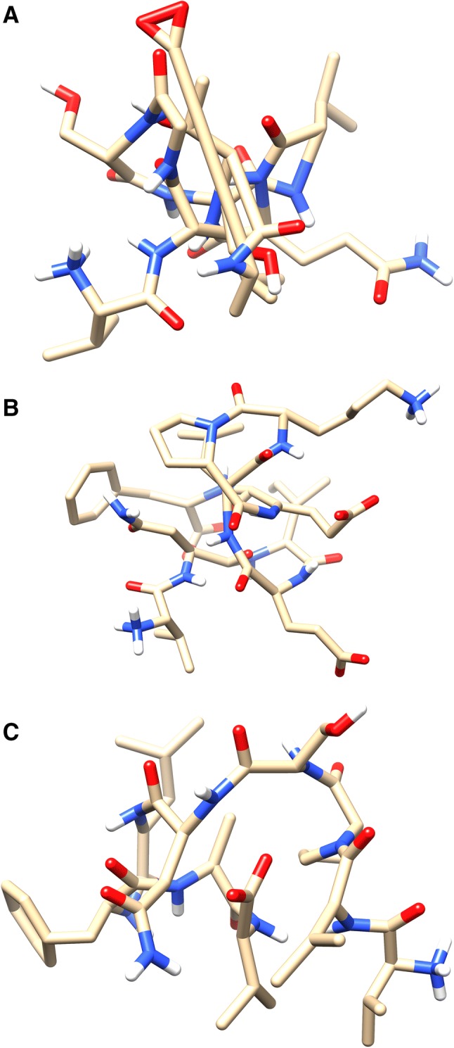 Fig. 1