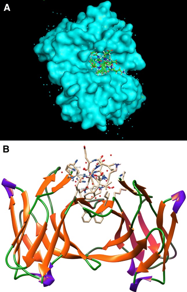 Fig. 8