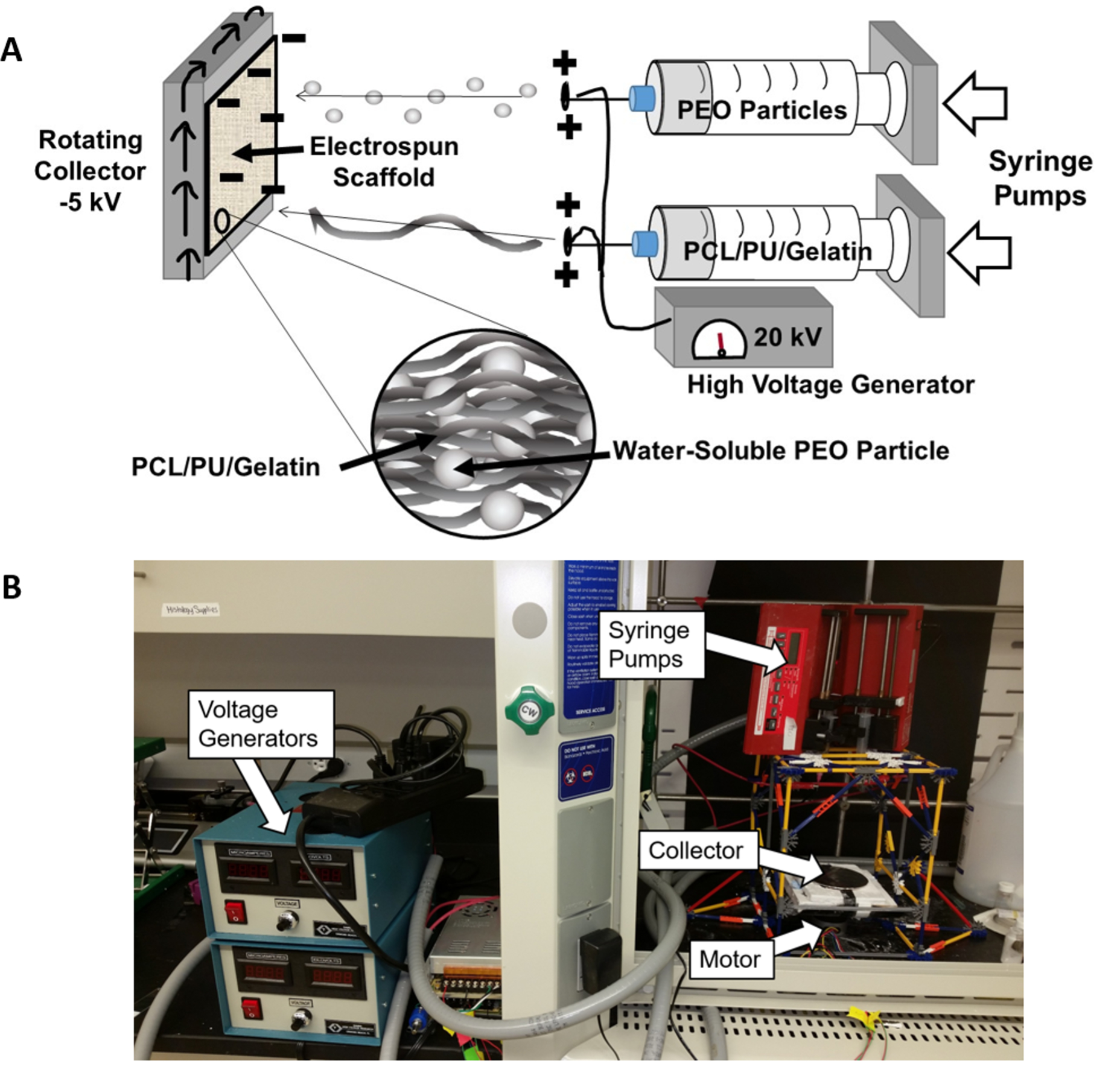 Figure 1: