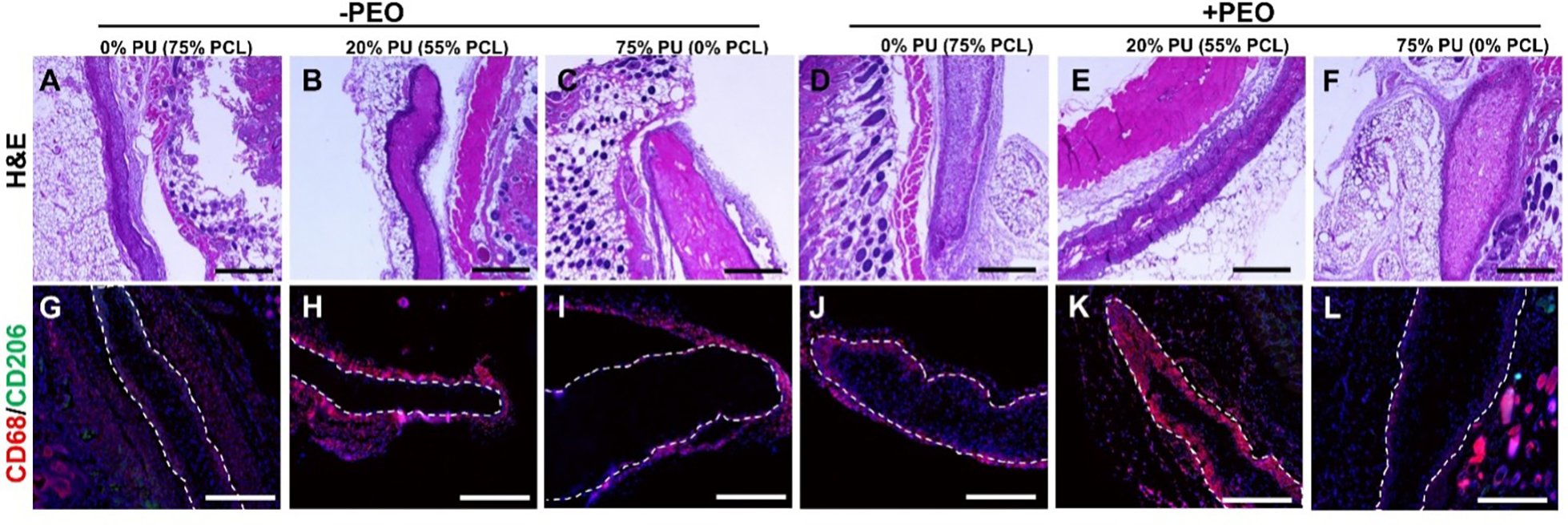 Figure 5: