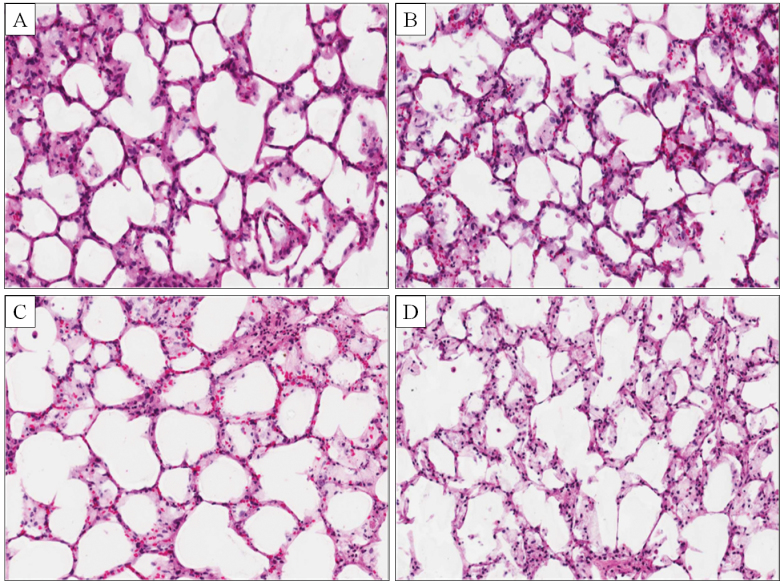 FIG. 7. 