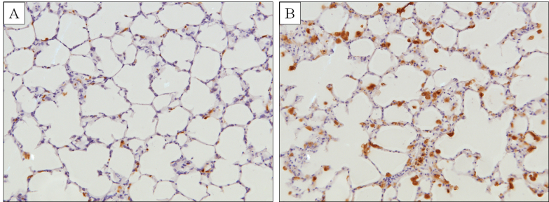 FIG. 6. 