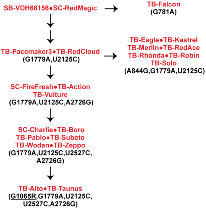 Fig. 4.