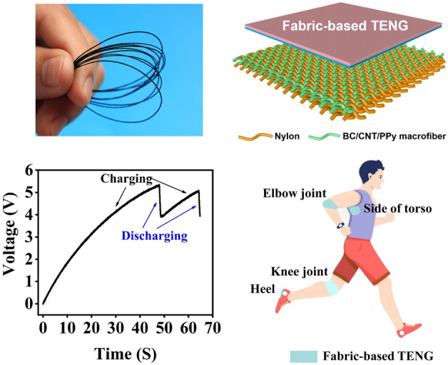 graphic file with name 40820_2022_858_Figa_HTML.jpg