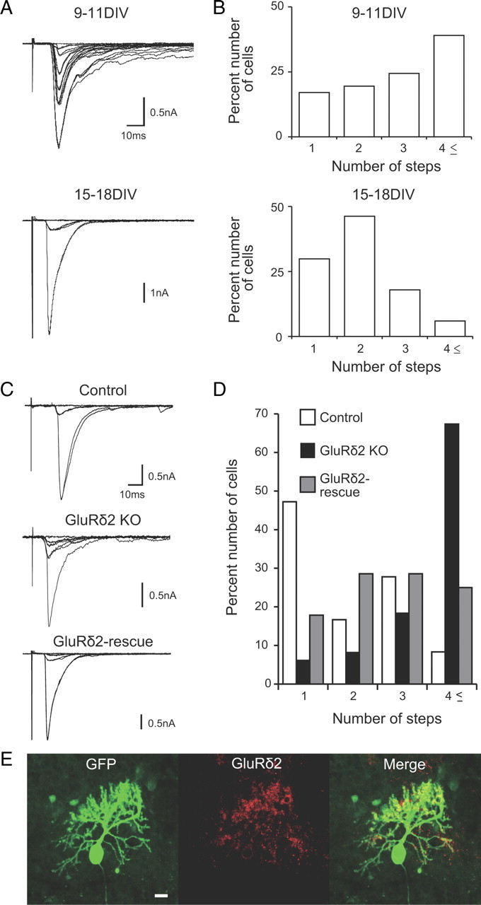 Figure 10.