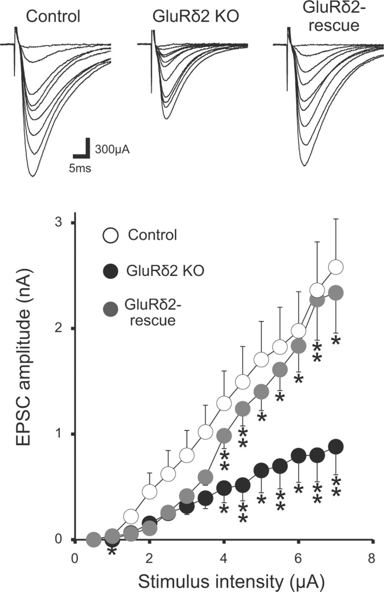 Figure 11.