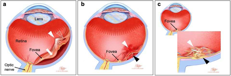 Figure 9.