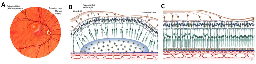 Figure 6.