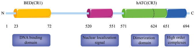 Figure 2.