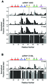 Figure 5—figure supplement 1.