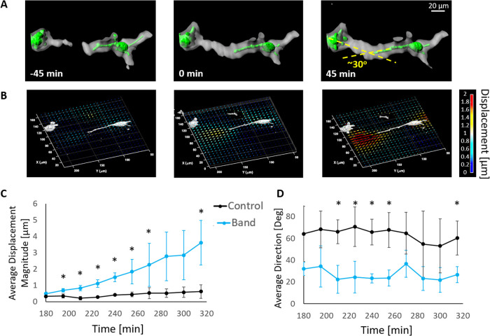 FIGURE 6: