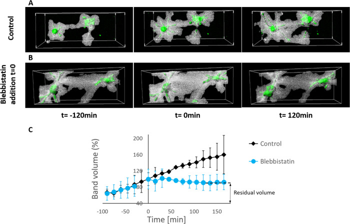 FIGURE 4: