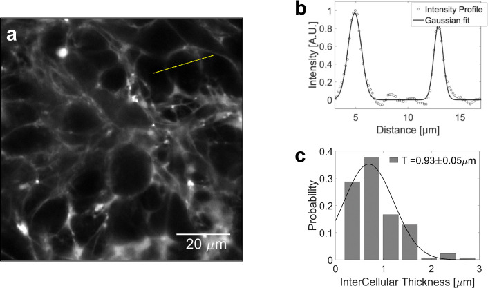 Appendix 1—figure 3.