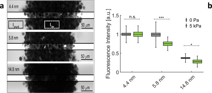 Appendix 1—figure 4.