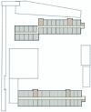 graphic file with name 41598_2024_54081_Figr_HTML.gif