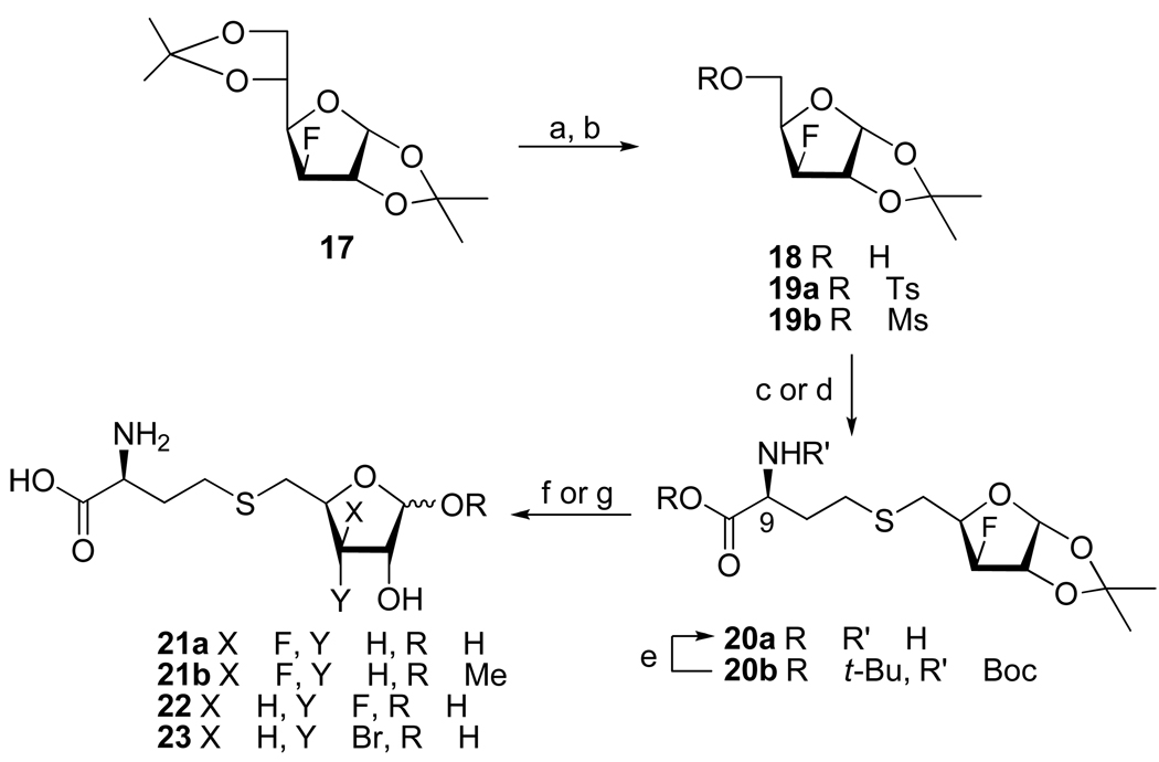 Scheme 3