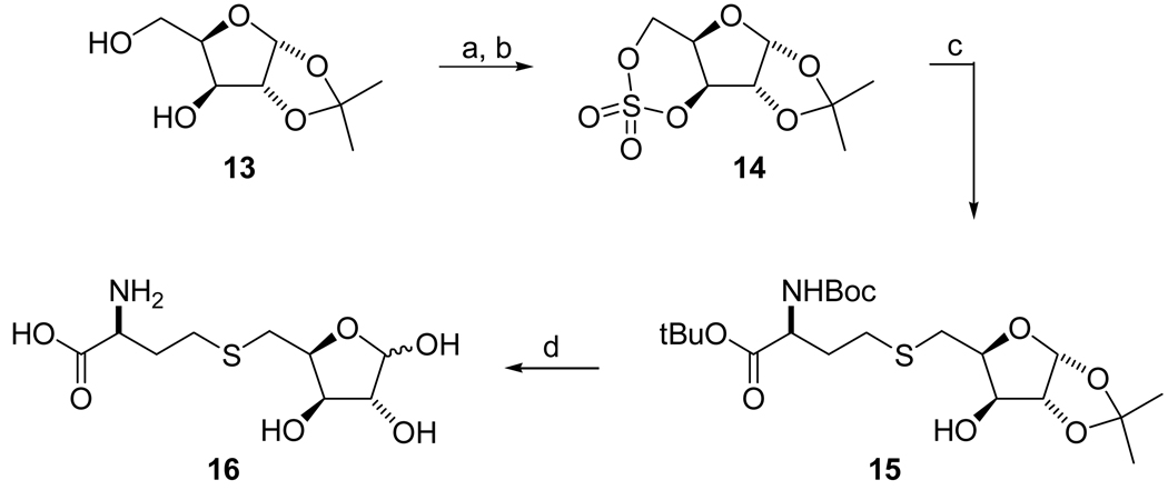 Scheme 2