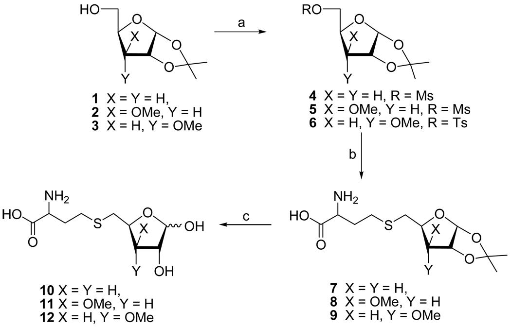 Scheme 1