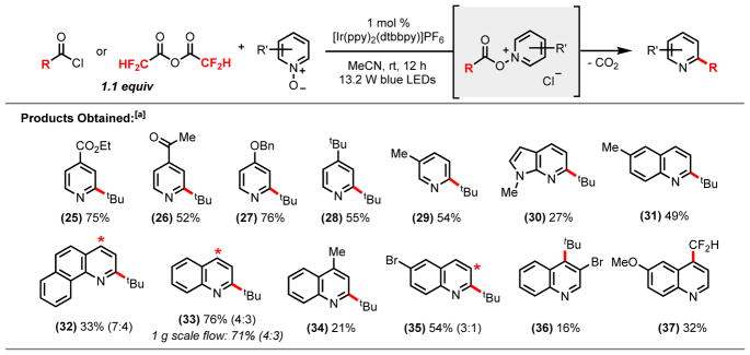 Scheme 2