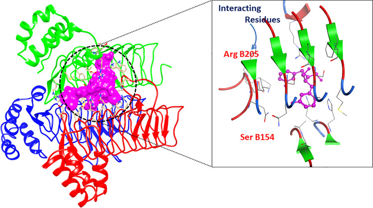 Fig 5