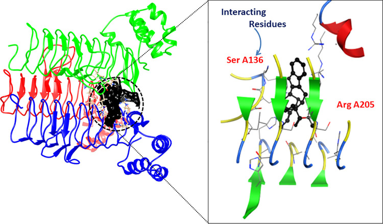 Fig 6