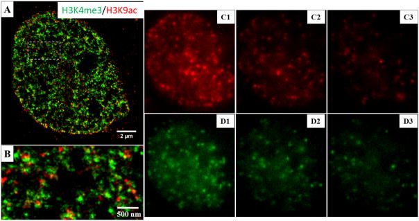 Figure 14