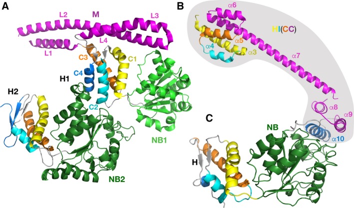 Figure 7