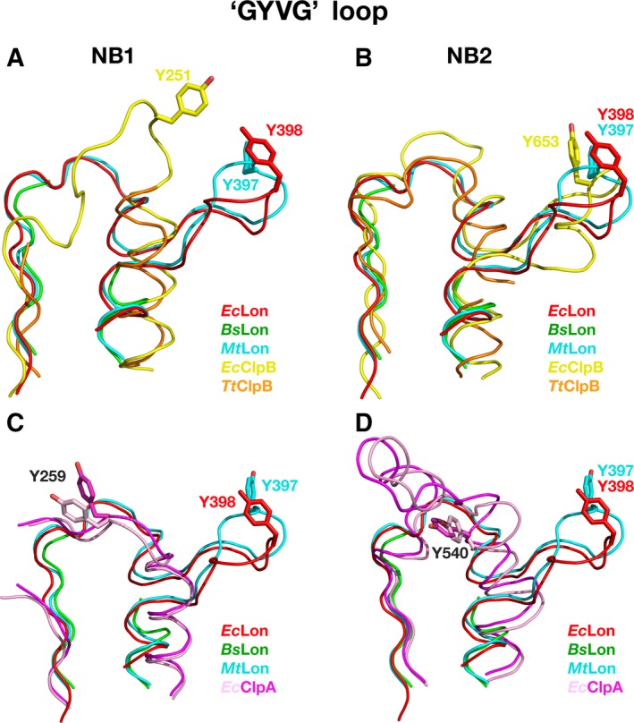 Figure 10