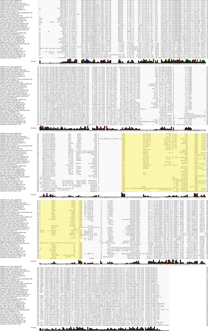 Figure 4—figure supplement 3.