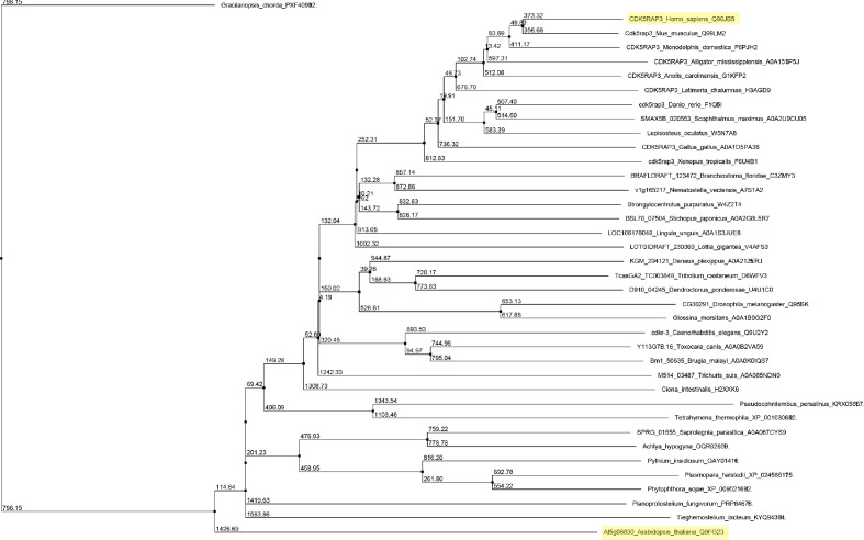 Figure 1—figure supplement 3.