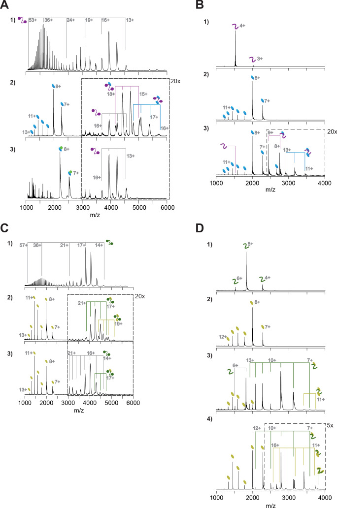 Figure 4—figure supplement 2.