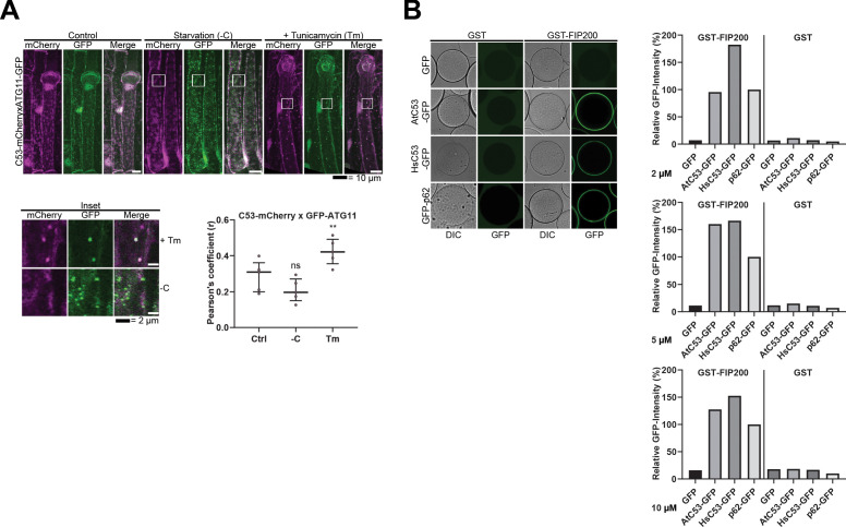 Figure 2—figure supplement 2.