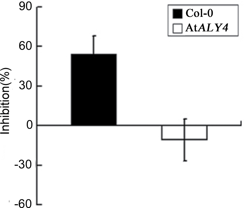 Fig. 8.