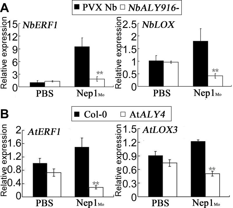 Fig. 9.