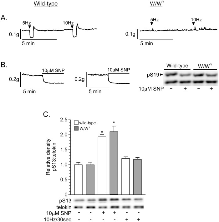 Fig 8