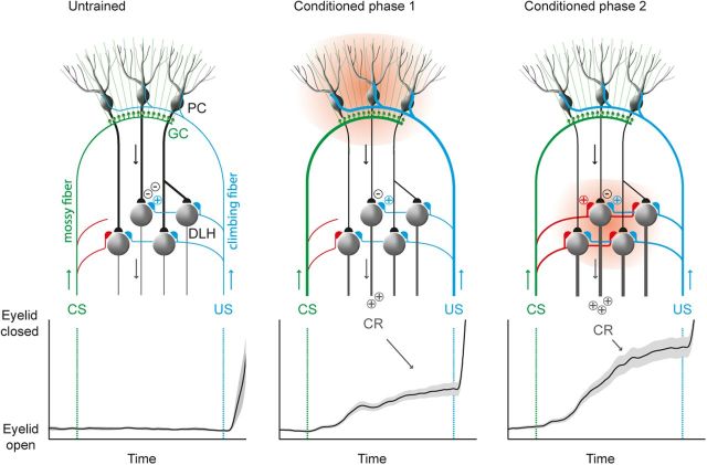 Figure 9.