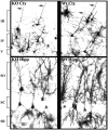 Fig. 11.