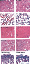 Fig. 8.