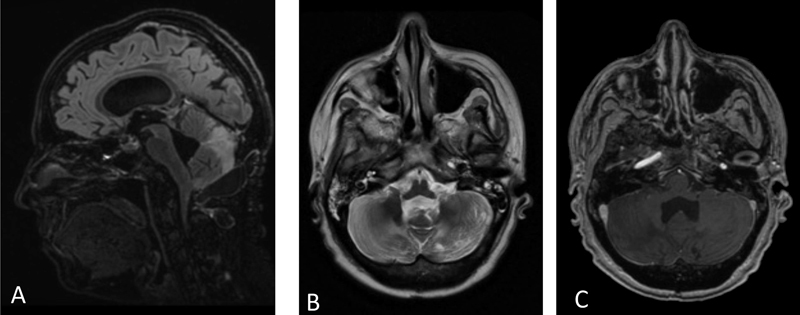 Fig. 5