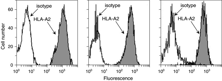 Fig. 3