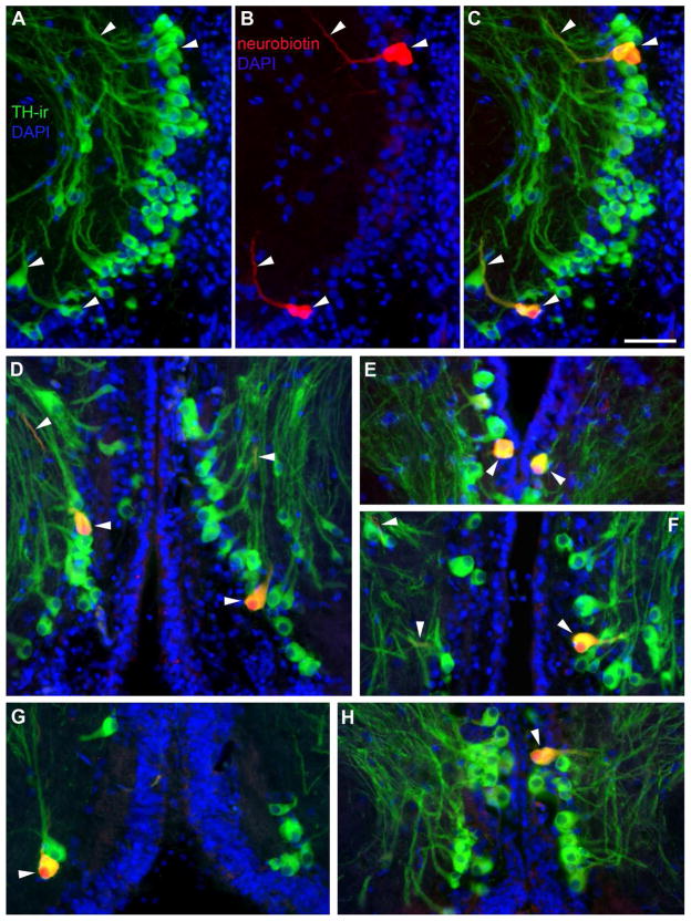 Figure 14