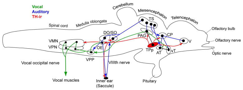 Figure 18