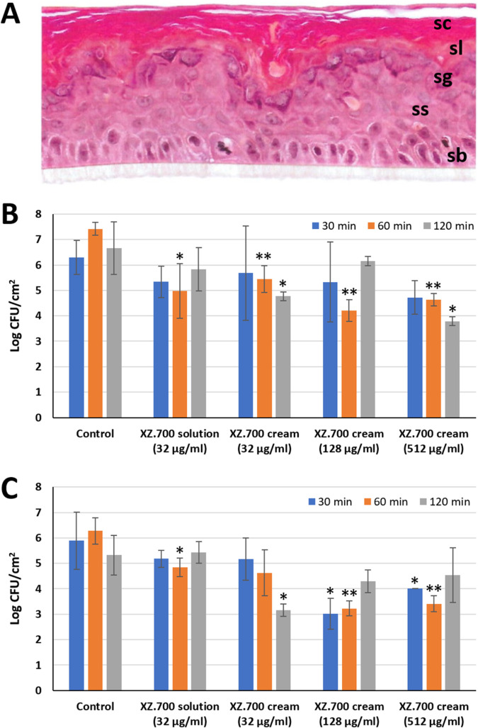 FIG 6